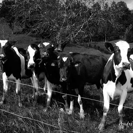 Au Jardin Gourmand De La Vallee * Hohrod