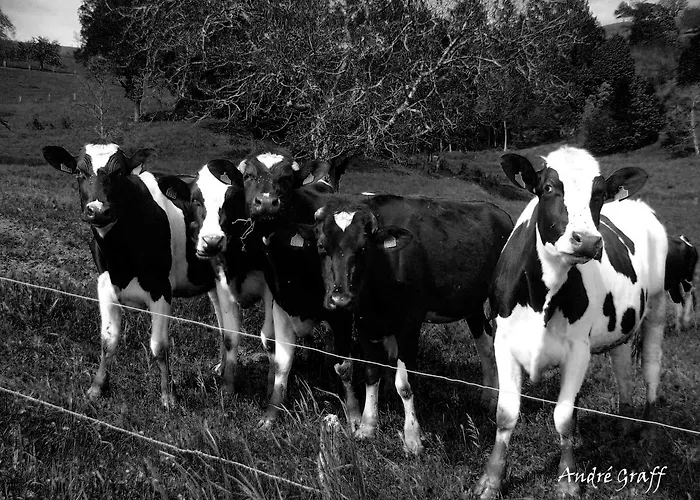 Au Jardin Gourmand De La Vallee * Hohrod