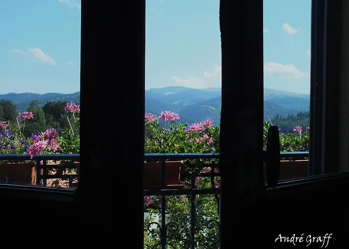 Au Jardin Gourmand De La Vallee B&B Hohrod